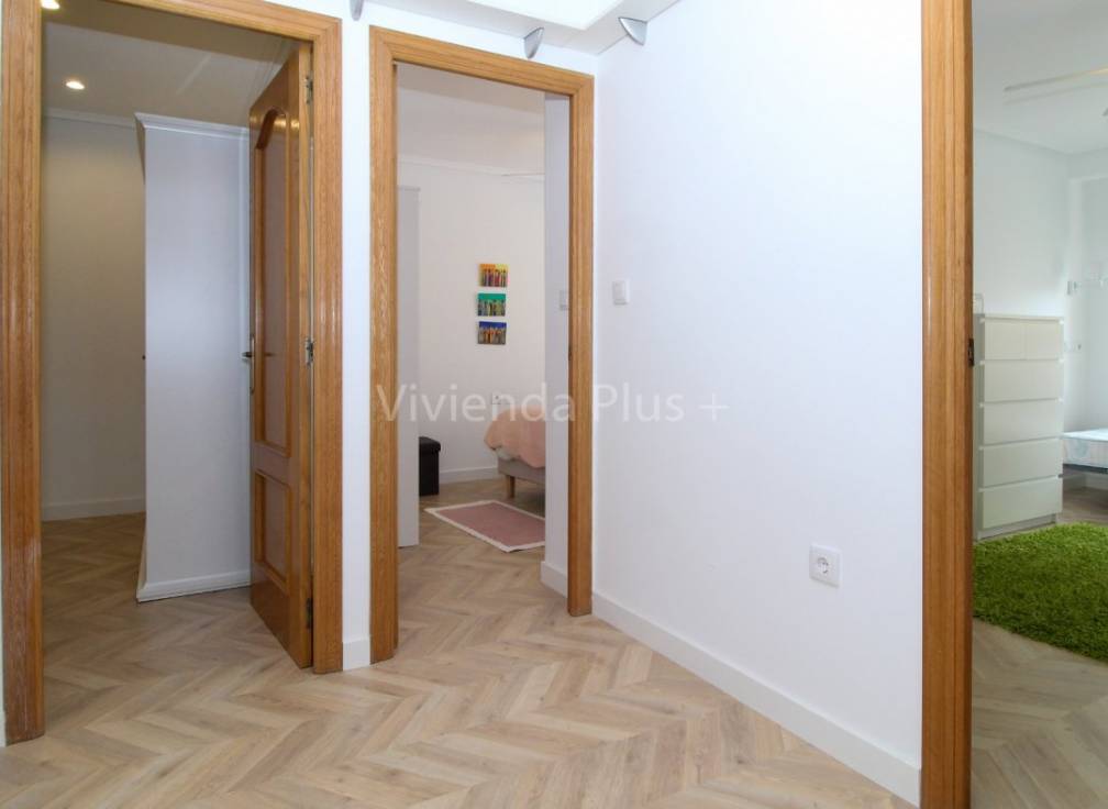 Location à long terme - Appartement - Elche - Plaza Crevillente-Juzgados