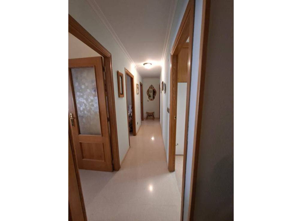 Location à long terme - Appartement - Elche - Plaza Crevillente-Juzgados