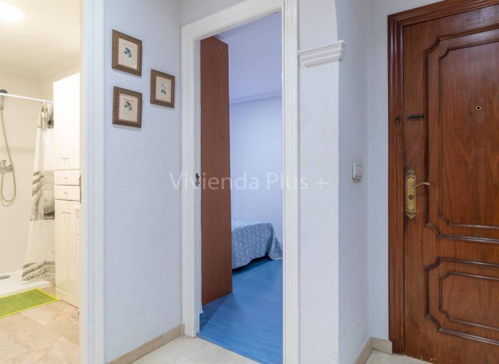 Location à long terme - Appartement - Elche - Plaza Crevillente