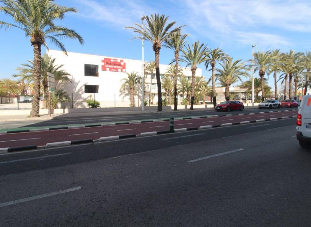 Location à long terme - Penthouse - Elche - Altabix