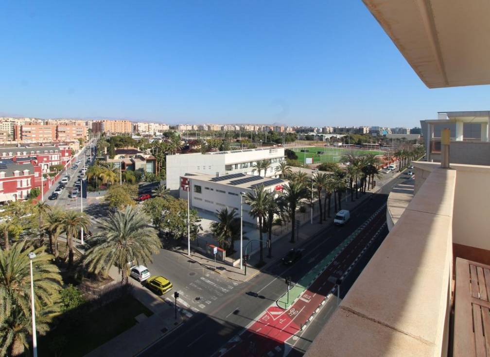 Location à long terme - Penthouse - Elche - Altabix