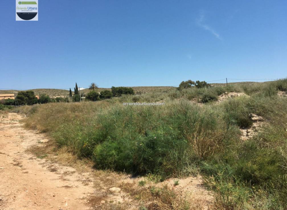 Long Term Rental - Building Site - Torrellano