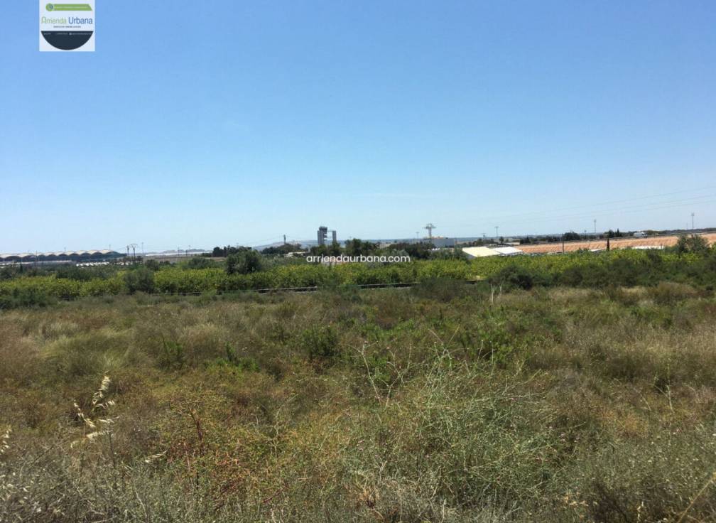 Long Term Rental - Building Site - Torrellano