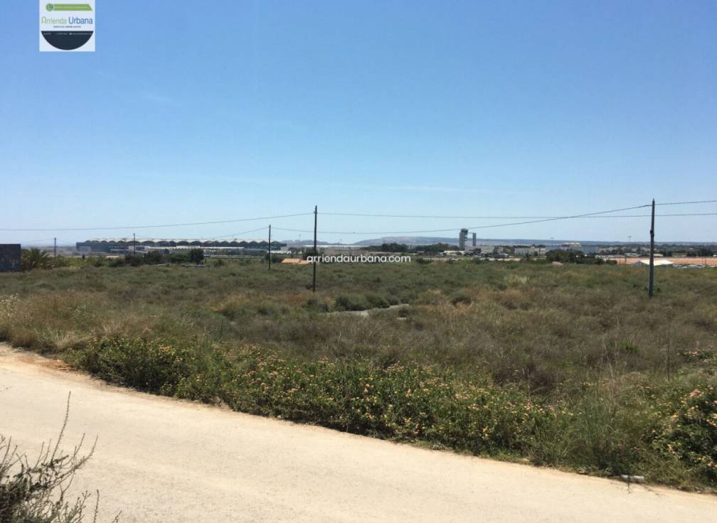 Long Term Rental - Building Site - Torrellano