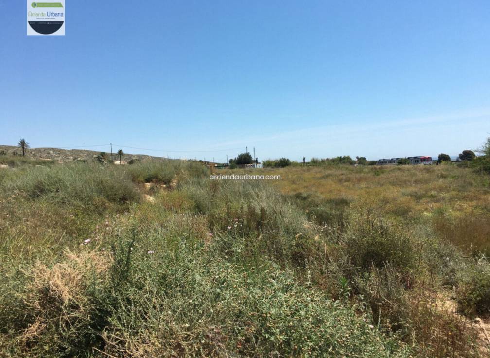 Long Term Rental - Building Site - Torrellano