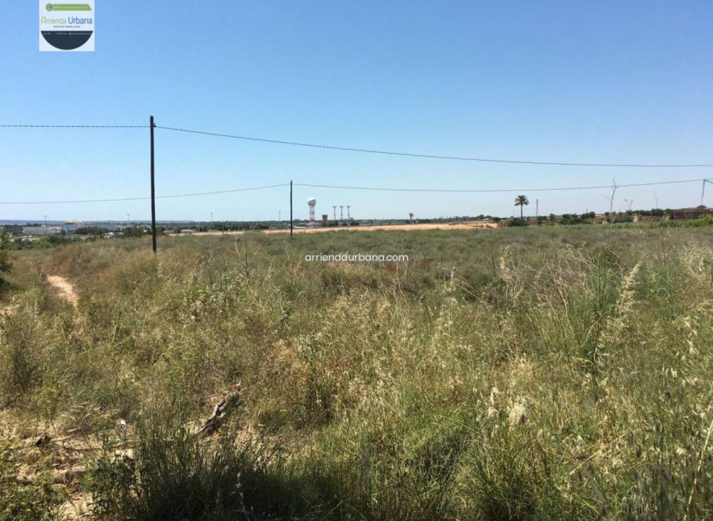 Long Term Rental - Building Site - Torrellano