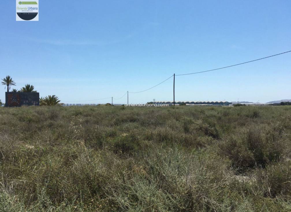 Long Term Rental - Building Site - Torrellano