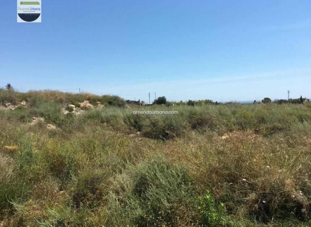 Long Term Rental - Building Site - Torrellano