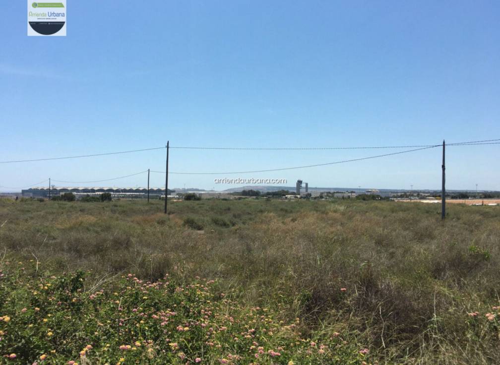 Long Term Rental - Building Site - Torrellano