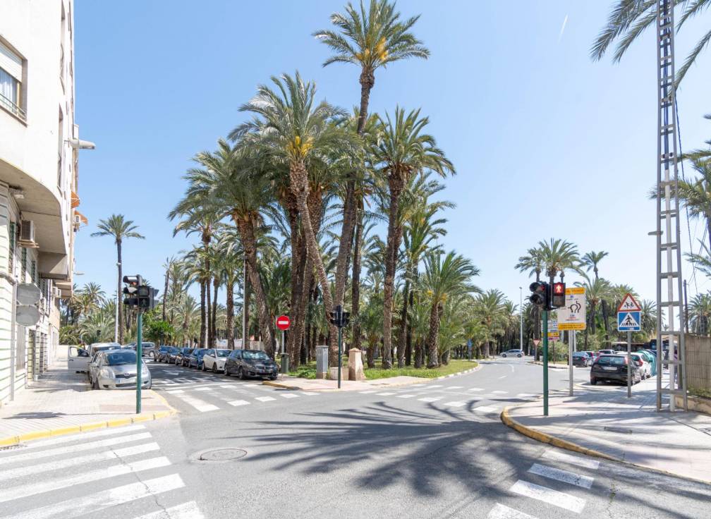 Long Term Rental - Business Premises - Elche - Portes Encarnades-Torreta-Portalada