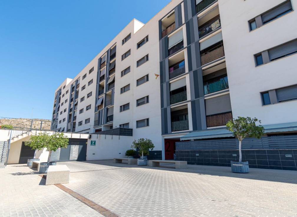 Long Term Rental - Flat - Crevillent - EL PINAR