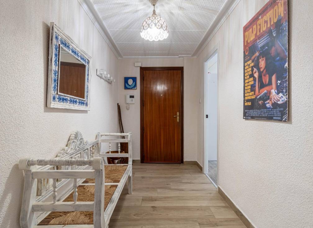 Long Term Rental - Flat - Elche - Asilo - Pisos Azules