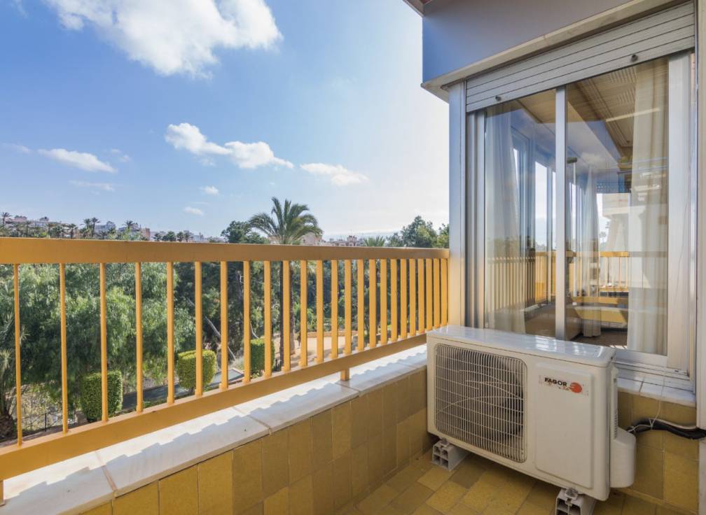 Long Term Rental - Flat - Elche - Centro