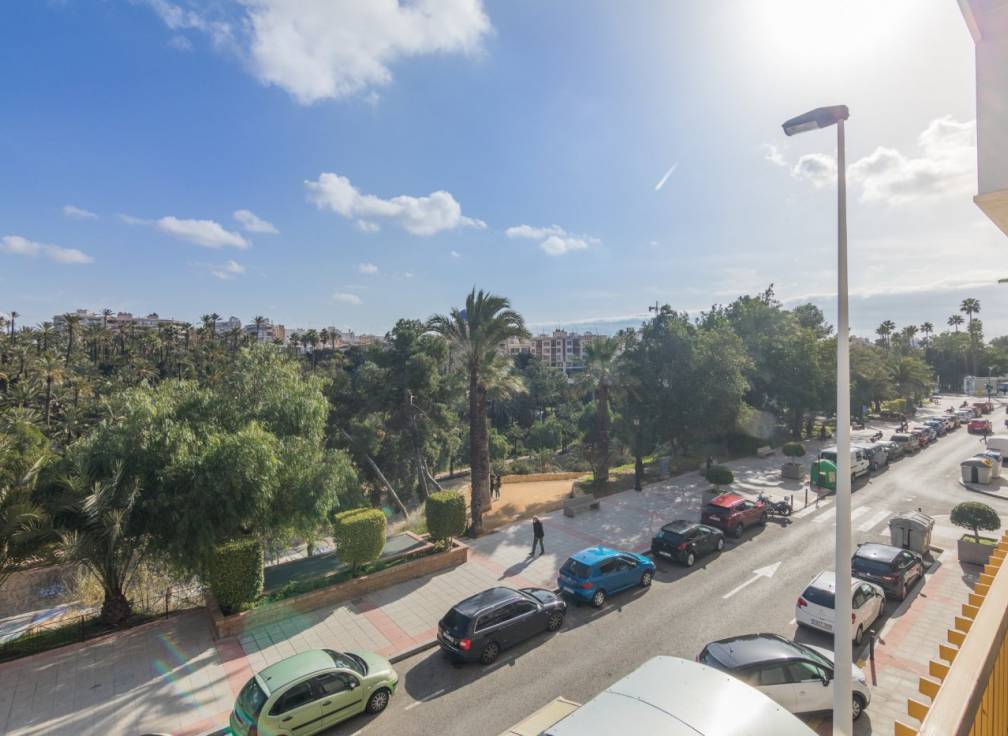 Long Term Rental - Flat - Elche - Centro