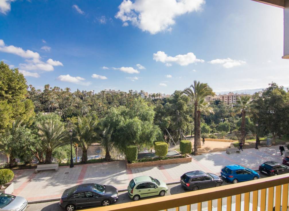 Long Term Rental - Flat - Elche - Centro