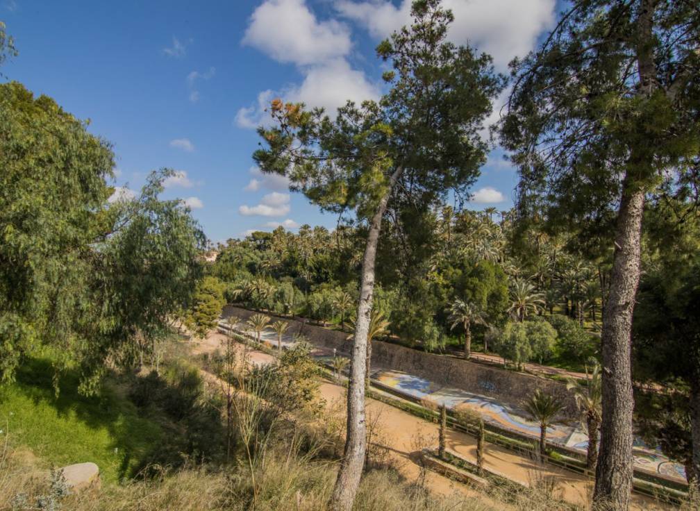 Long Term Rental - Flat - Elche - Centro