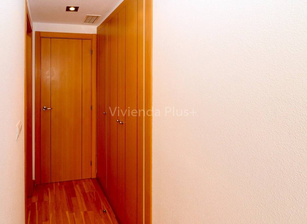 Long Term Rental - Flat - Elche - Corte Ingles