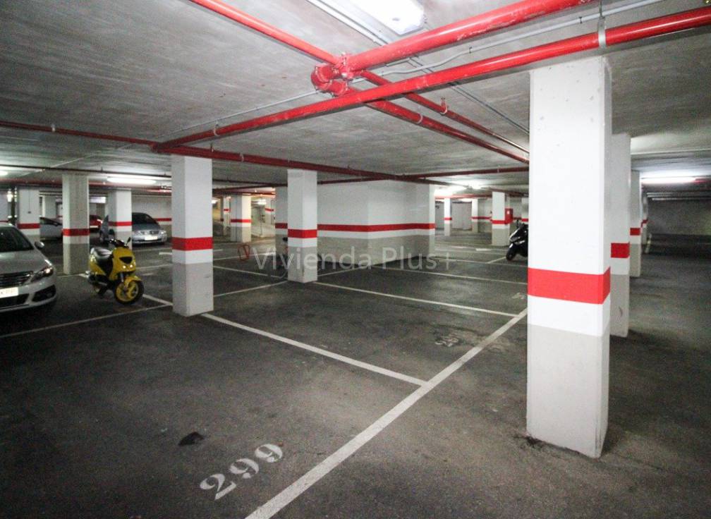 Long Term Rental - Flat - Elche - Corte Ingles