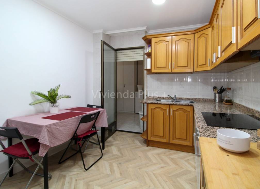 Long Term Rental - Flat - Elche - Plaza Crevillente-Juzgados