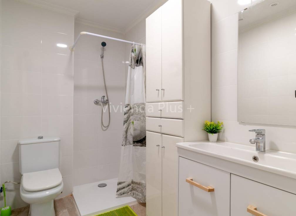 Long Term Rental - Flat - Elche - Plaza Crevillente