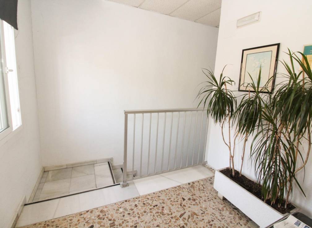 Long Term Rental - Industrial Unit - Elche - San Crispín