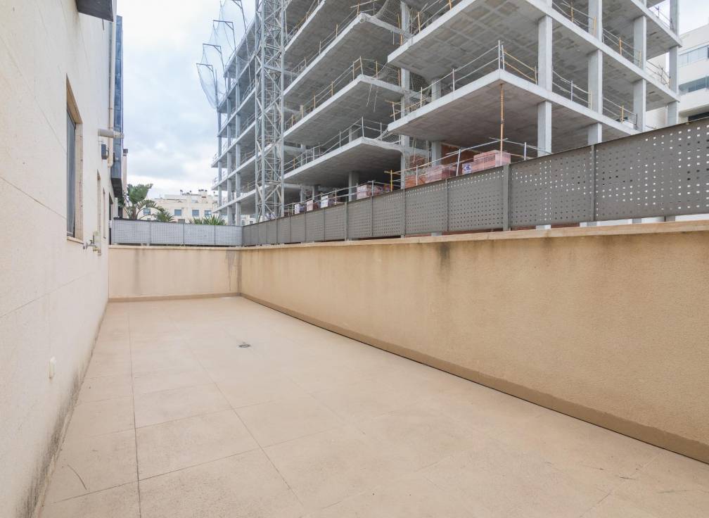 Obra nueva - Chalet - Elche - Huerto de travalon