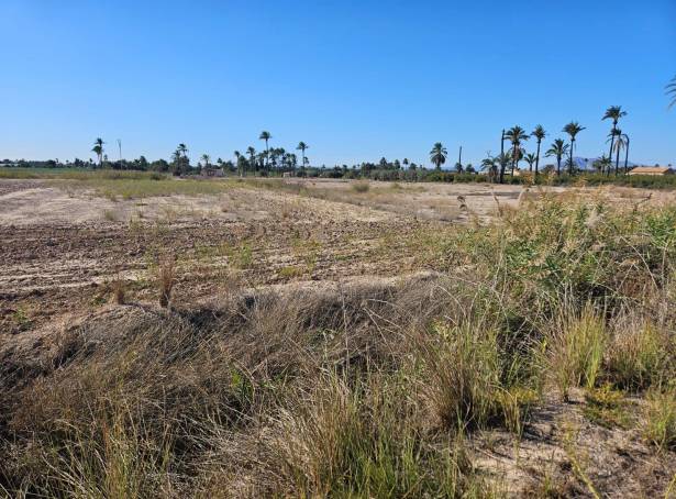 Plot - Resale - La hoya - La Hoya-Daimes-El Derramador