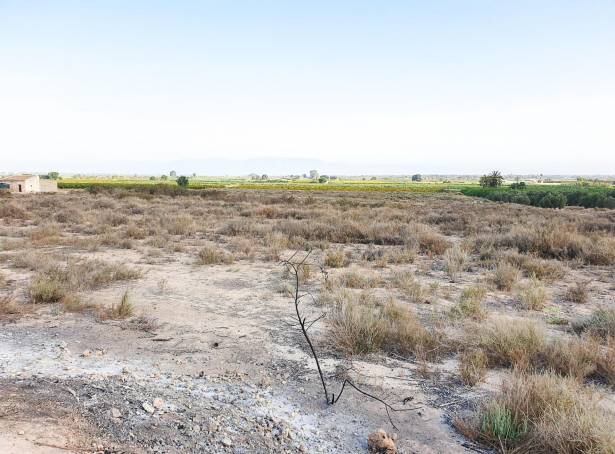 Plot - Resale - La marina - 8320G