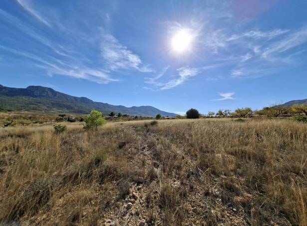 Plot - Resale - La Romana - La Romana