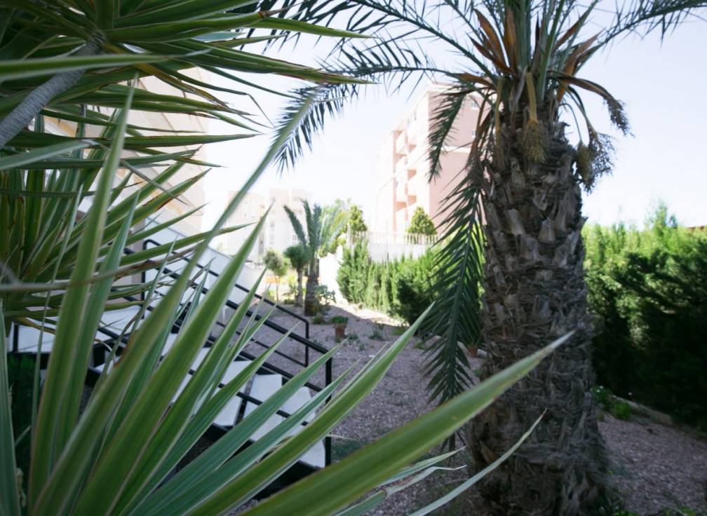 Resale - Apartment - Arenales del Sol - Avenida costa blanca