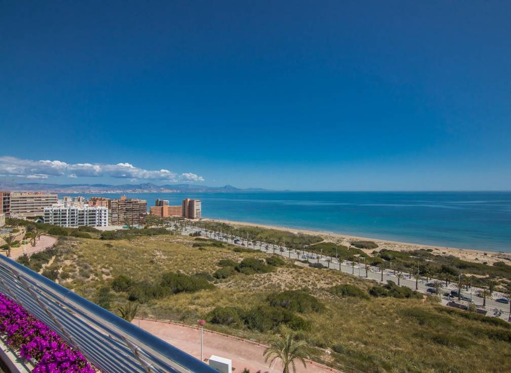 Resale - Apartment - Arenales del Sol - Calle valladolid
