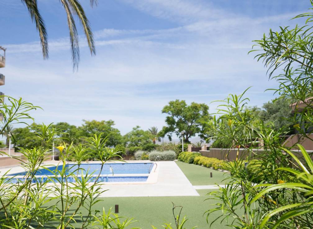 Resale - Apartment - Arenales del Sol - Calle valladolid