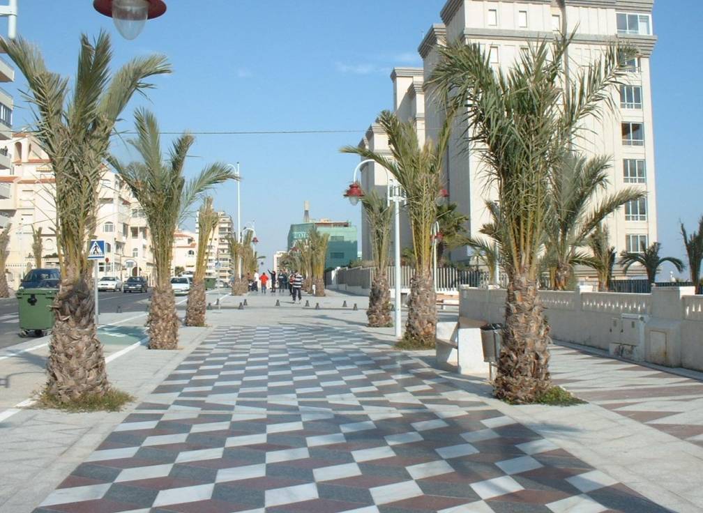 Resale - Apartment - Arenales del Sol - Zona paseo maritimo