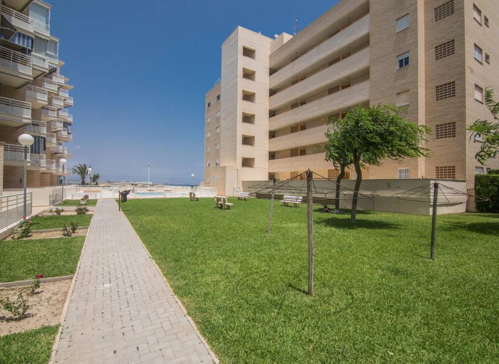 Resale - Apartment - Arenales del Sol - Zona paseo maritimo
