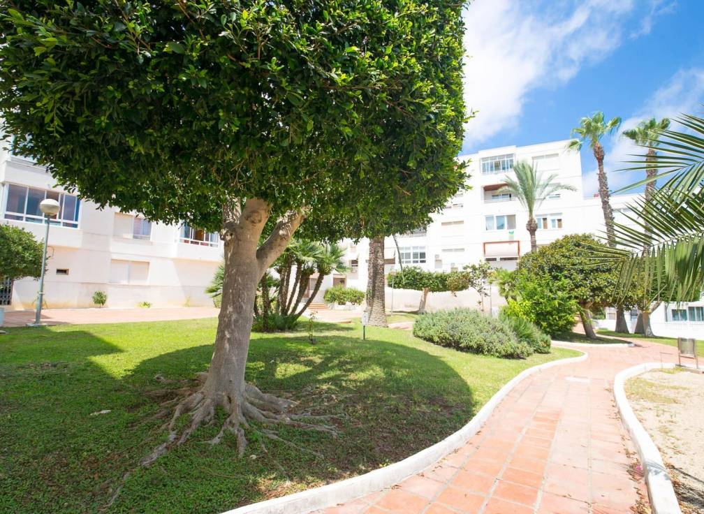 Resale - Apartment - Gran alacant - Gran Alacant Apartamentos