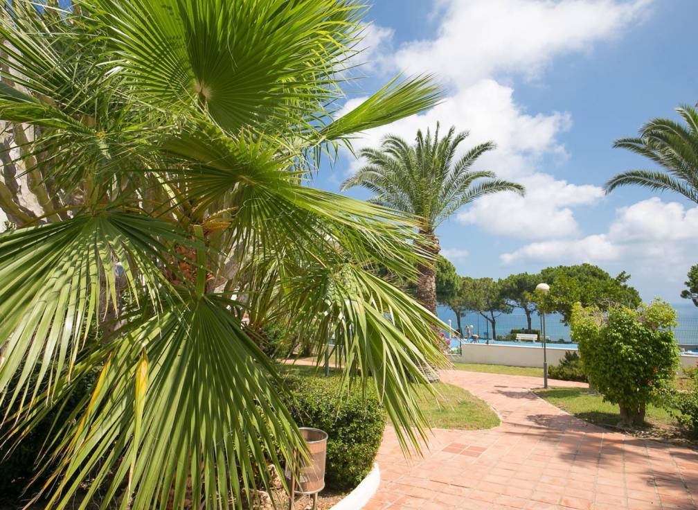 Resale - Apartment - Gran alacant - Gran Alacant Apartamentos