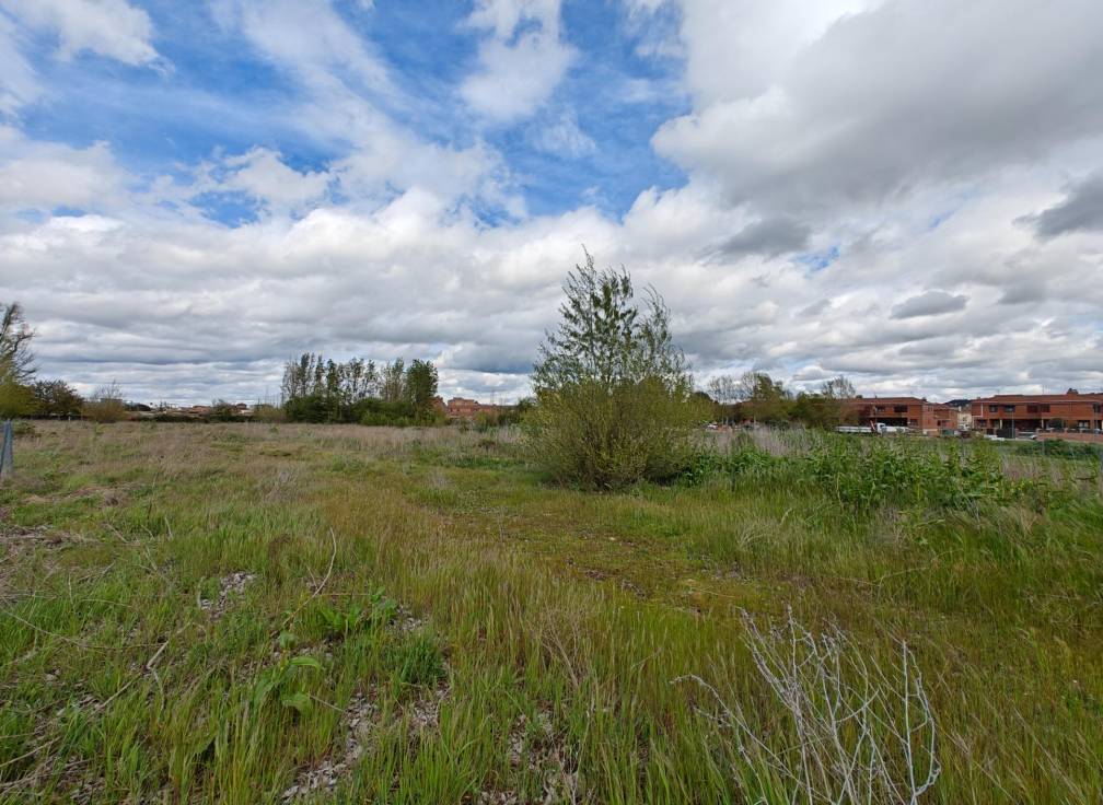 Resale - Building Site - Dueñas - Castilla y leon