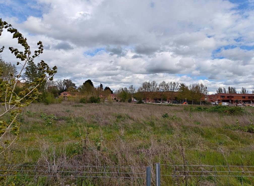 Resale - Building Site - Dueñas - Castilla y leon