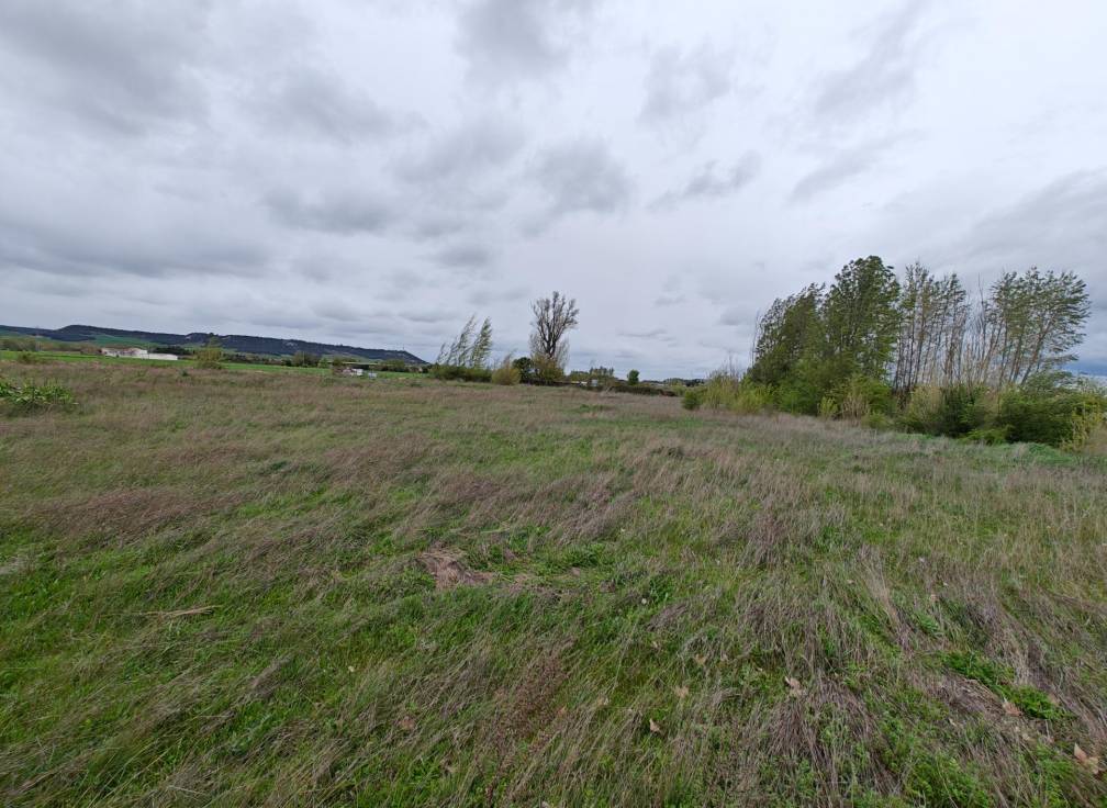 Resale - Building Site - Dueñas - Castilla y leon