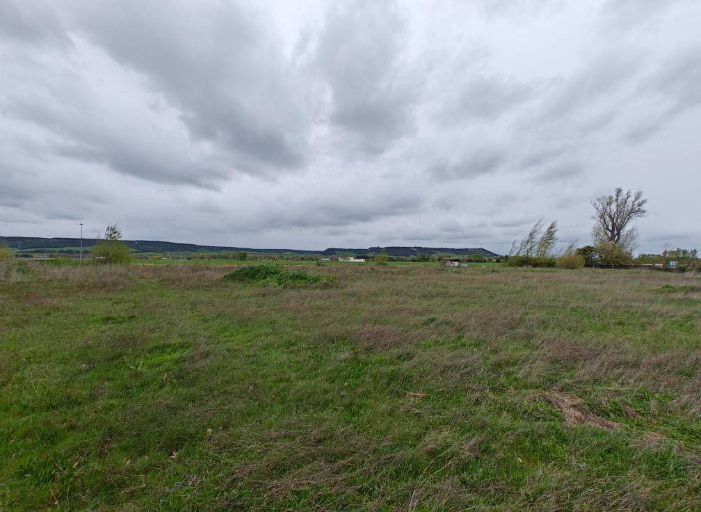 Resale - Building Site - Dueñas - Castilla y leon