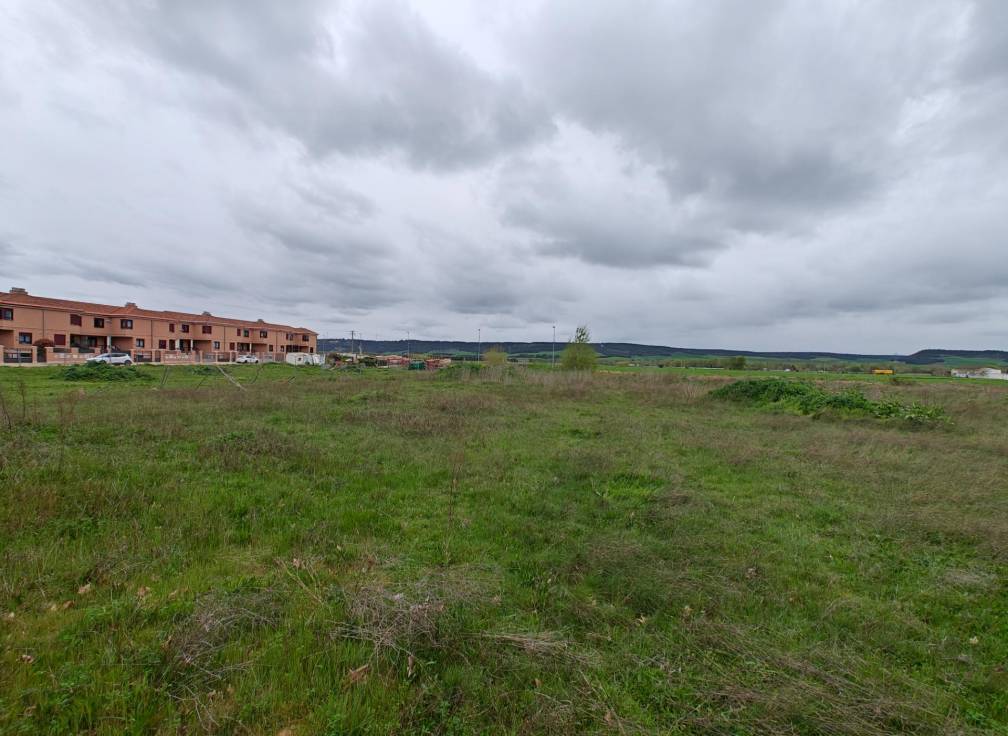 Resale - Building Site - Dueñas - Castilla y leon