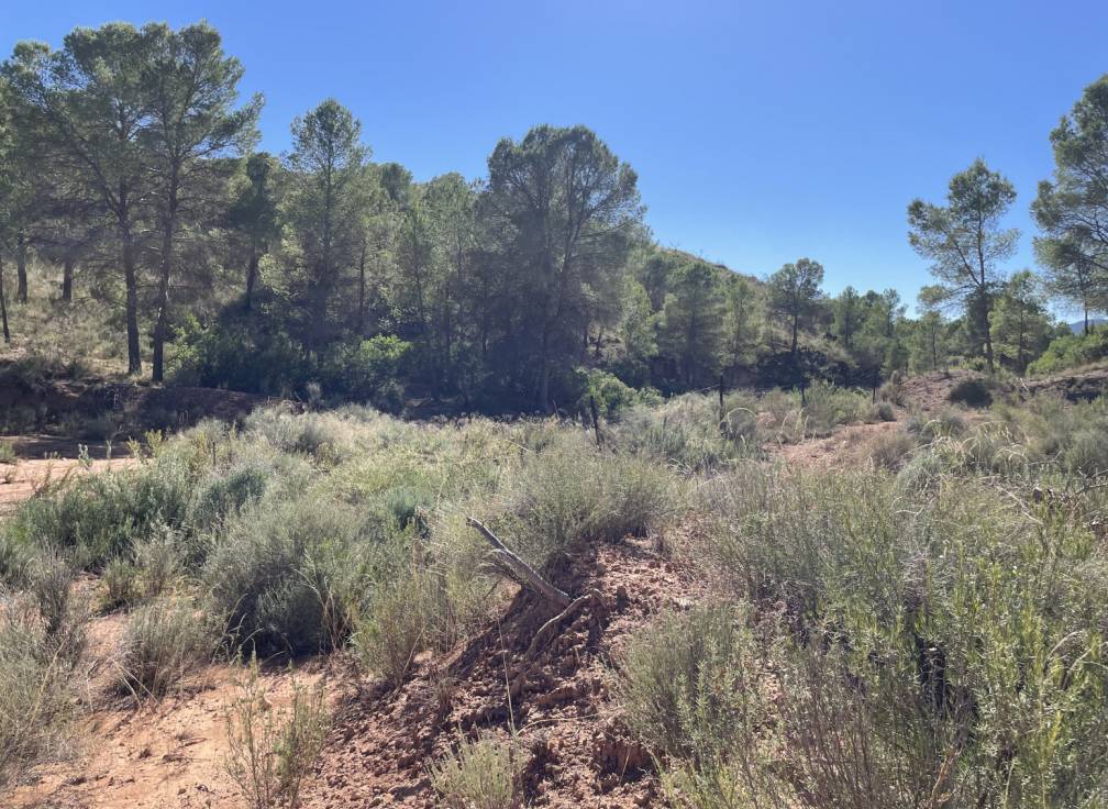 Resale - Building Site - Lietor - Castilla la mancha