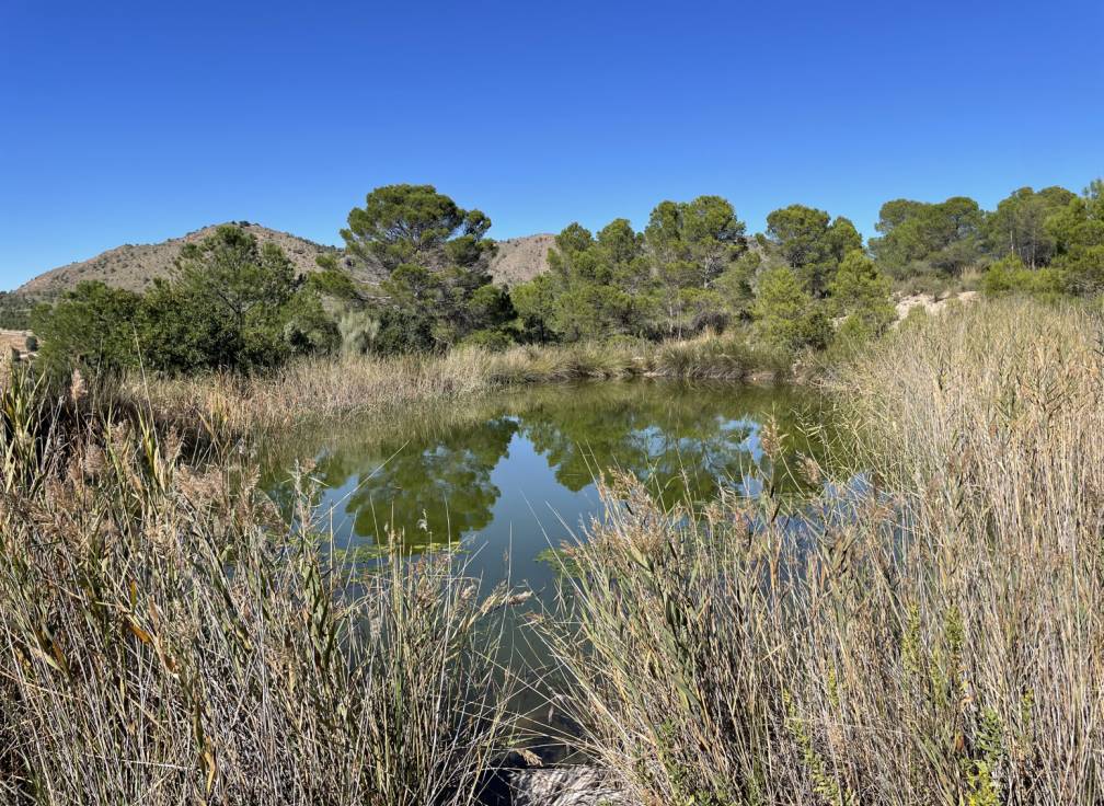 Resale - Building Site - Lietor - Castilla la mancha