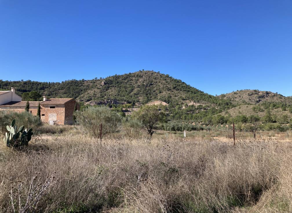 Resale - Building Site - Lietor - Castilla la mancha