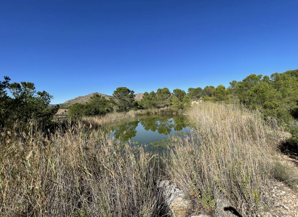 Resale - Building Site - Lietor - Castilla la mancha