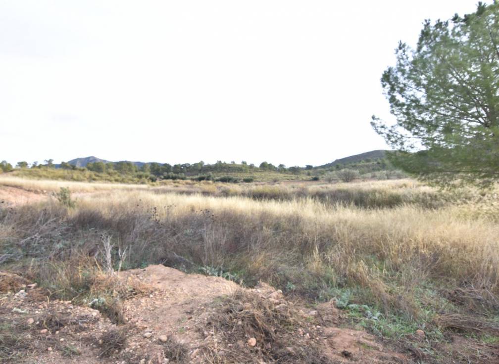 Resale - Building Site - Lietor - Castilla la mancha