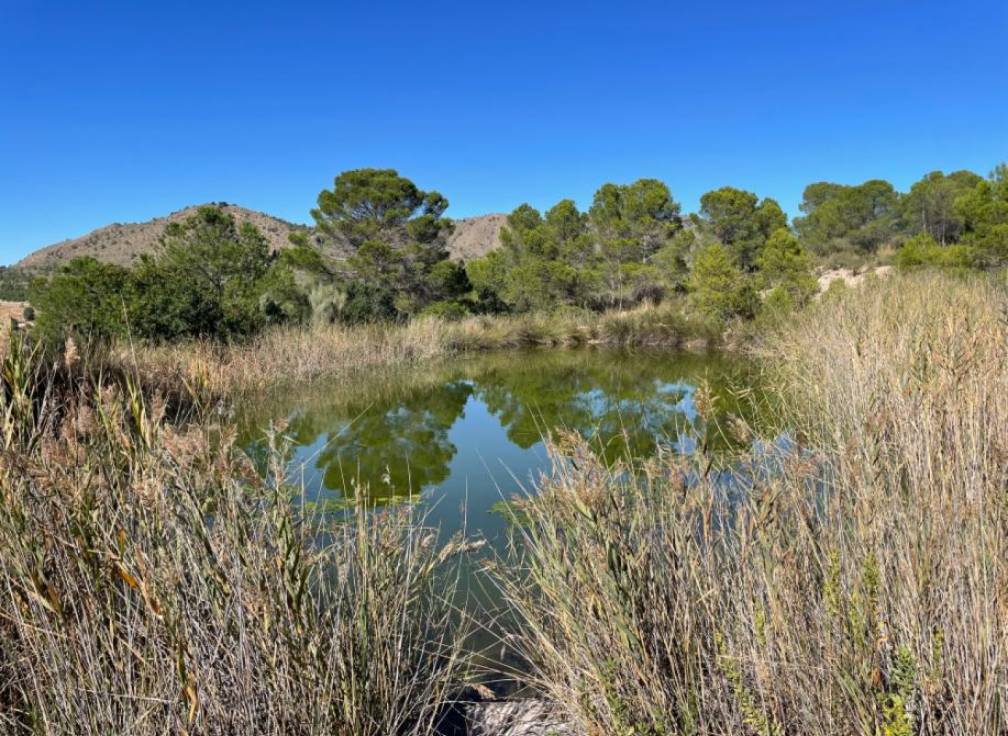 Resale - Building Site - Lietor - Castilla la mancha