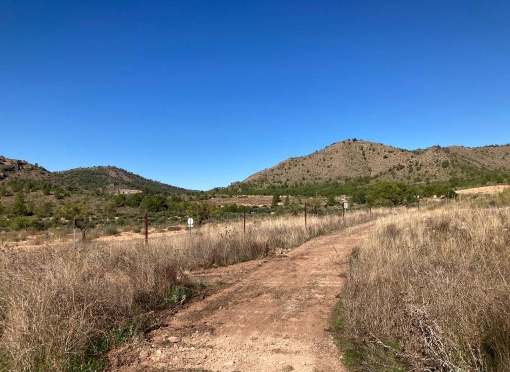 Resale - Building Site - Lietor - Castilla la mancha