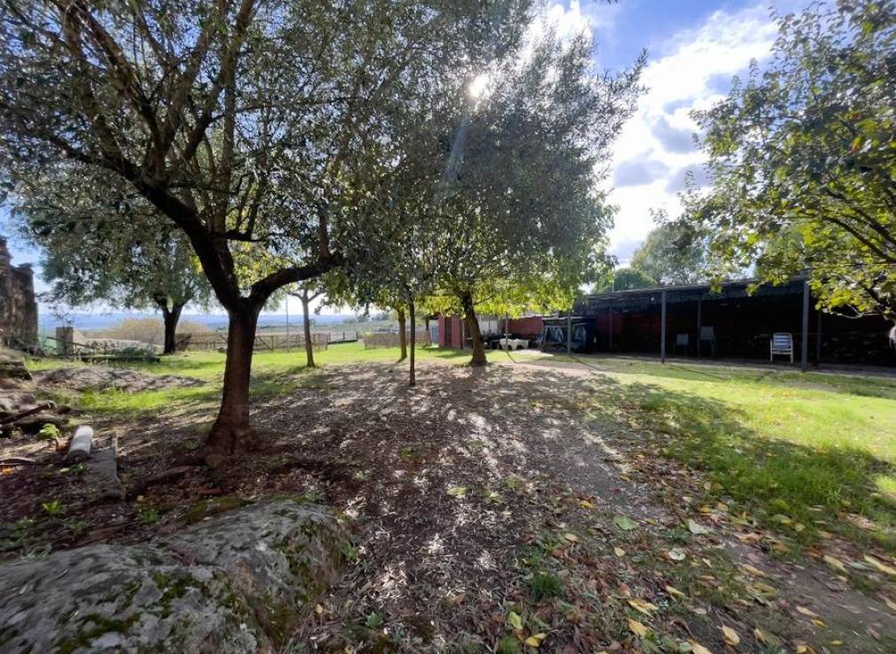 Resale - Building Site - Torremenga - Extremadura