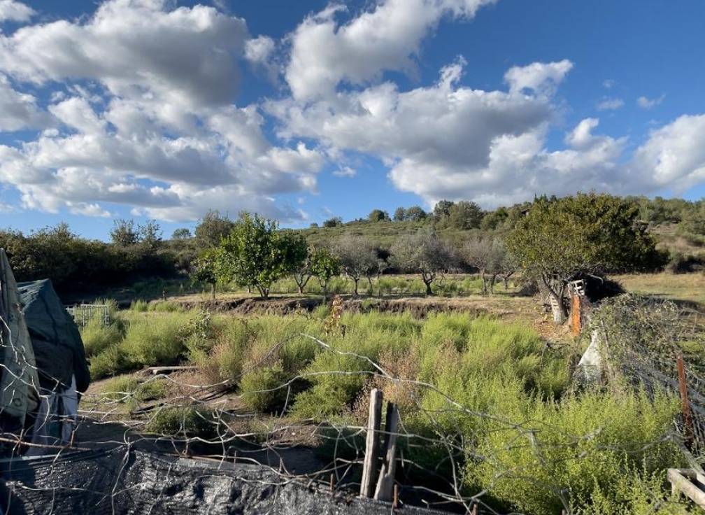 Resale - Building Site - Torremenga - Extremadura